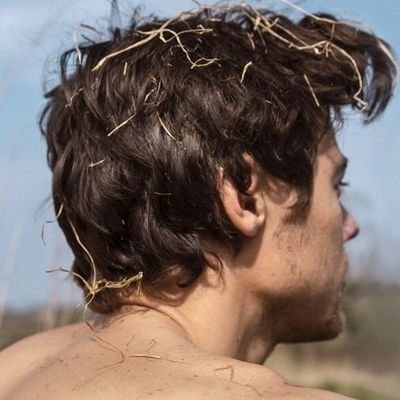 best harry pics