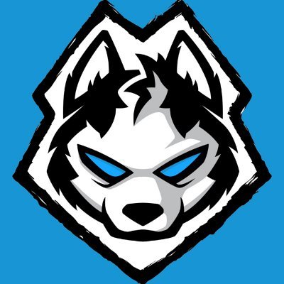Husky 🐺