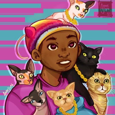 iAmMoshow - The Cat Rapper ™
