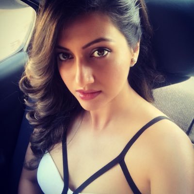 Hamsa Nandini