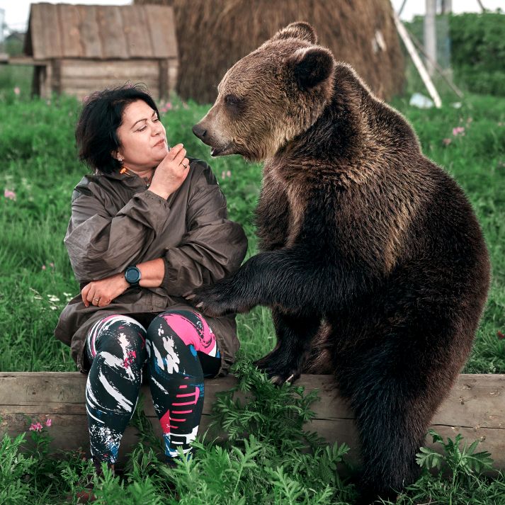 bear_Vasiliy.