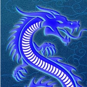 Importadora dragón azul