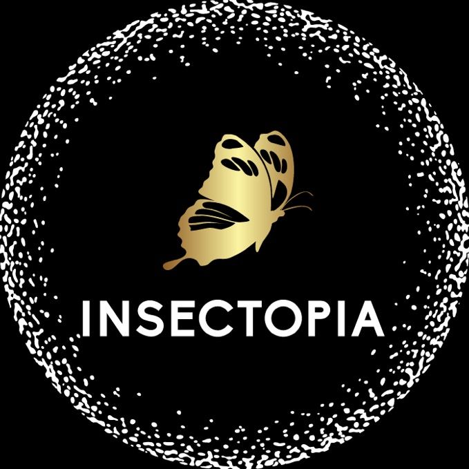 Insectopia