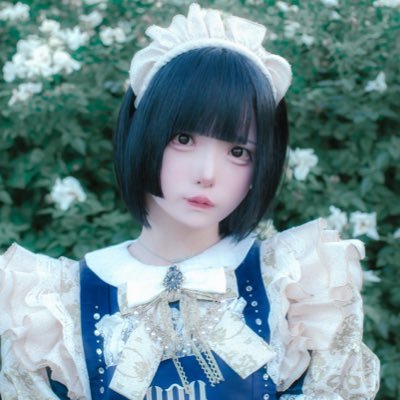 猫猫猫はう