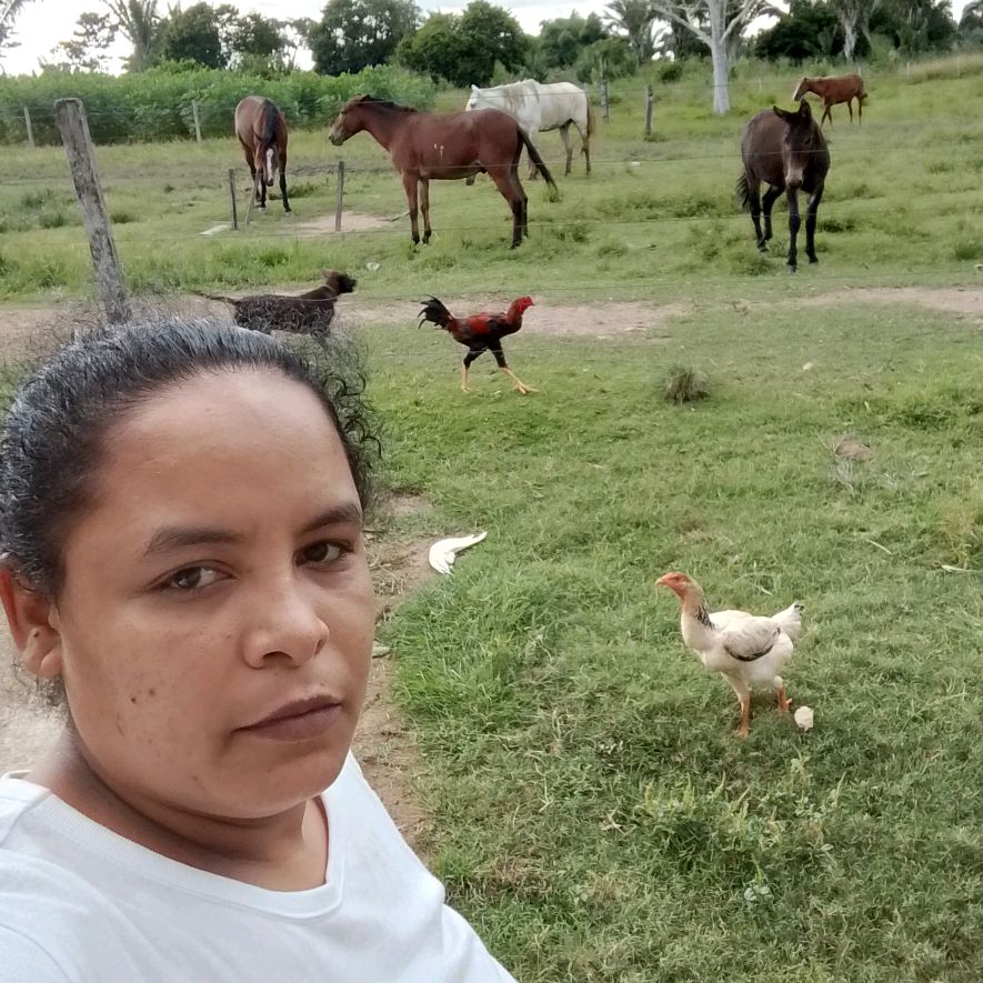 a morena da roça ☀️