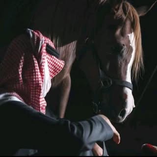 نايف العطوي
