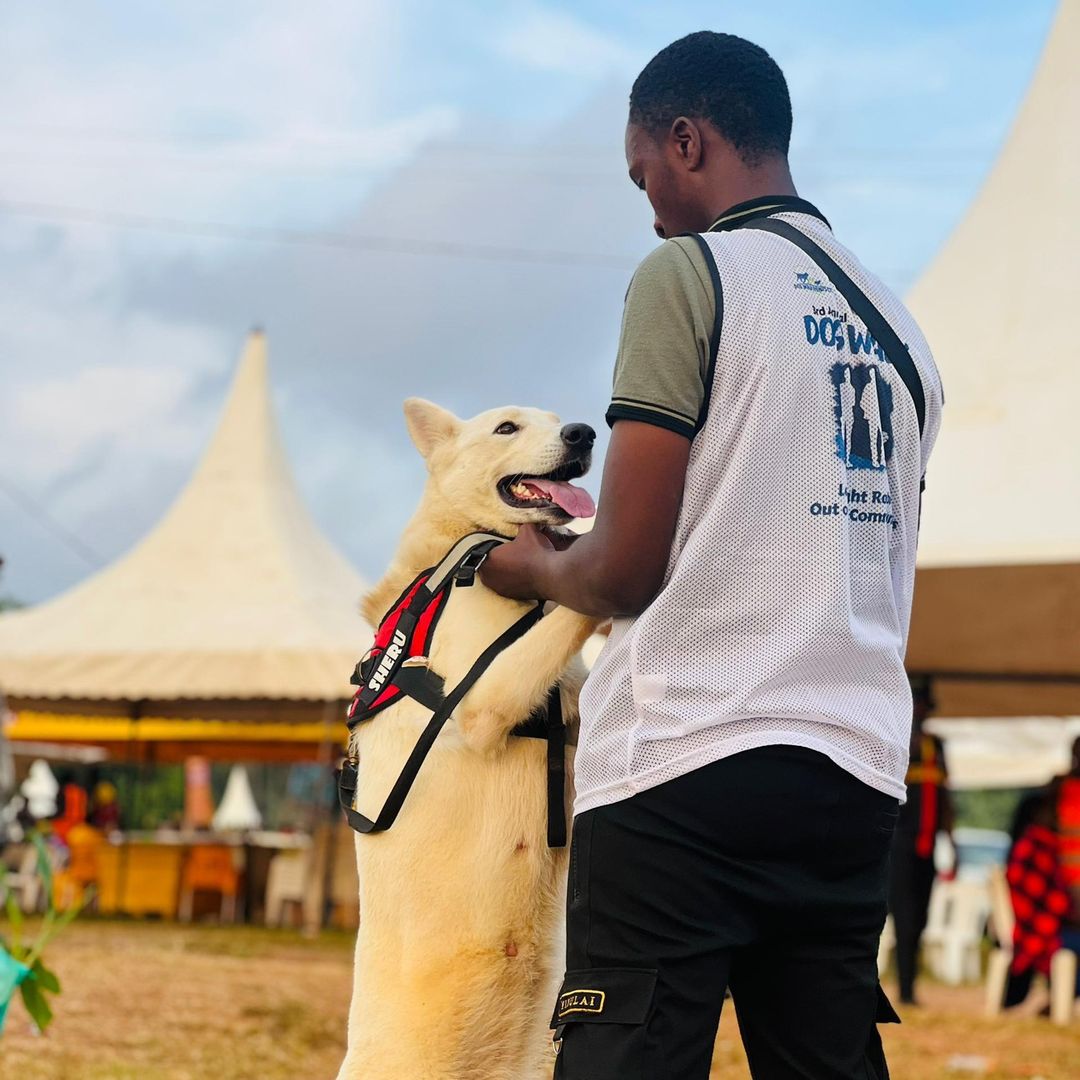 joshua the dog trainer