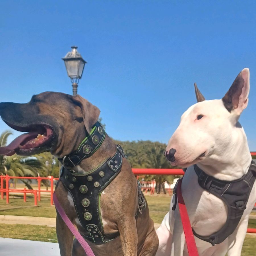 Jack&Keka