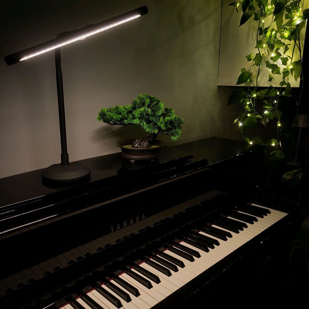 🤍🎹Jakub Milewski🎹🤍