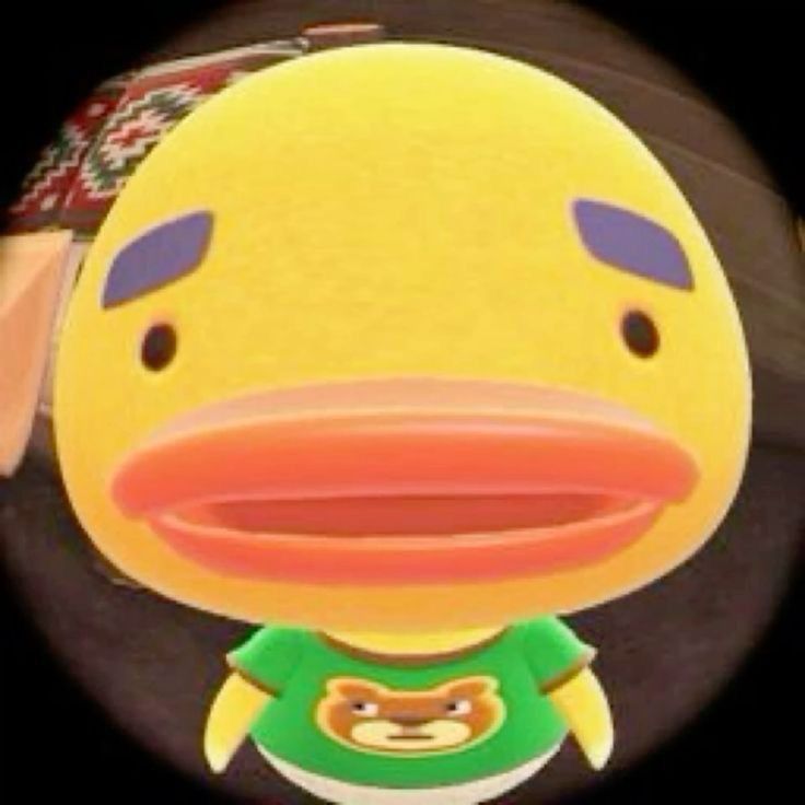 Chimmy