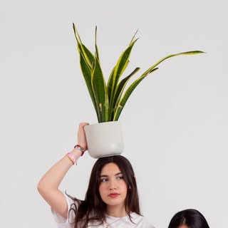 Janinalchair