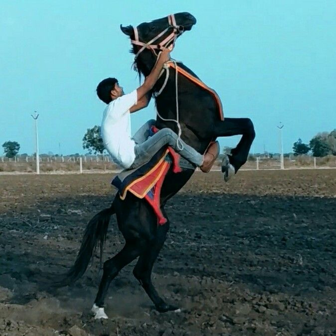 Jebaliya Ajay