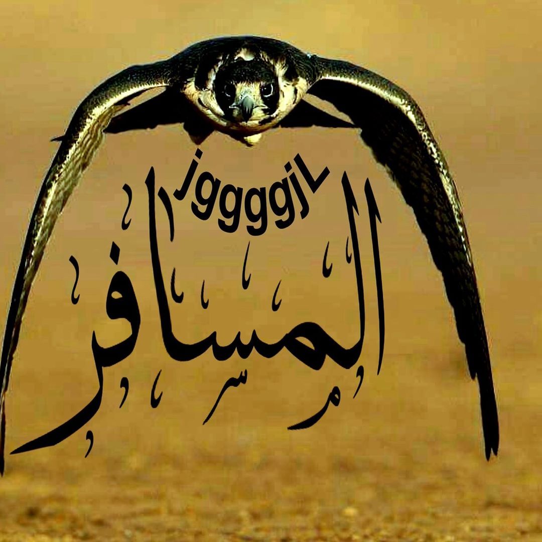 خالد عيون الكويت 🇰🇼