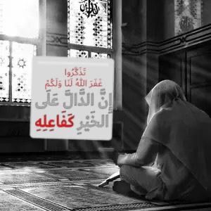 🌹(نعمة الإسلام )🌹