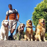 jhonatan | Treinador de Cães