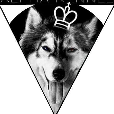 Jumong Alpha Kennel
