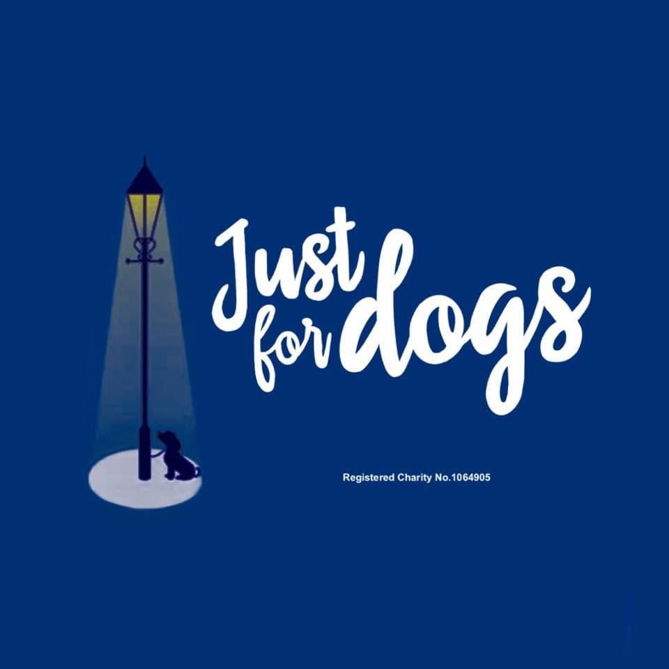 Just For Dogs