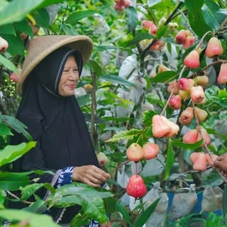 Kampung Halaman Official