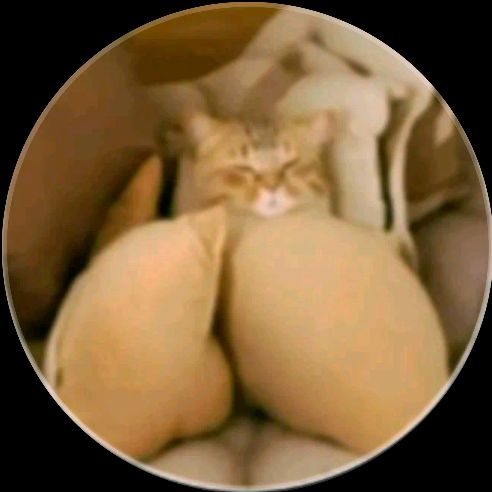 🇩🇪Germany💃🏻