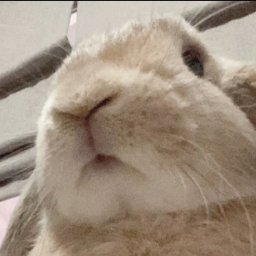 ꪔ̤̱