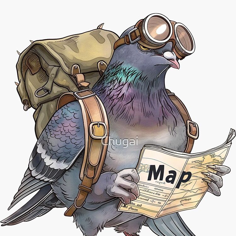 Pigeon voyageur