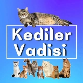 Kediler Vadisi