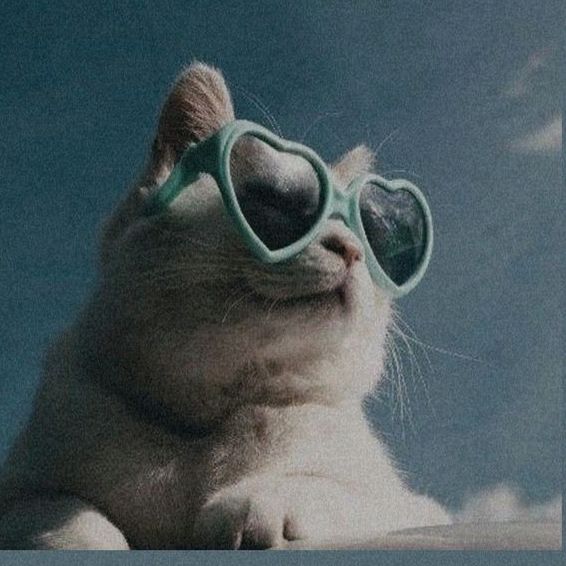 keylaxly🍂☄️🪐