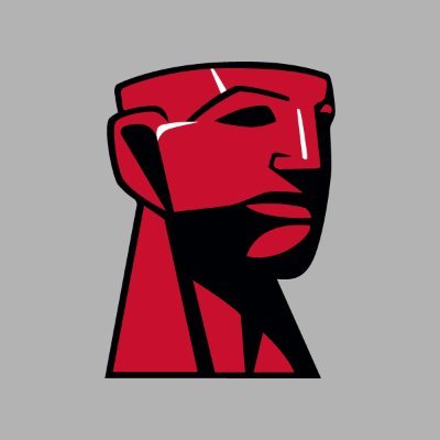 Kingston Technology