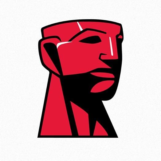 Kingston Technology