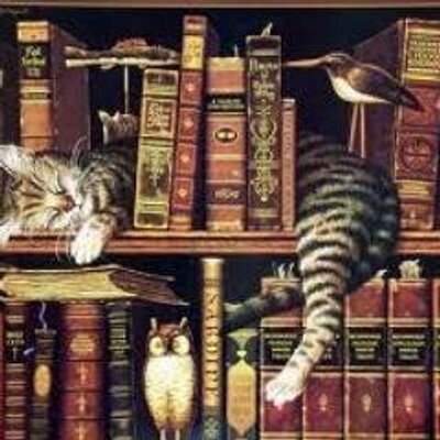 Kitap Alıntısı