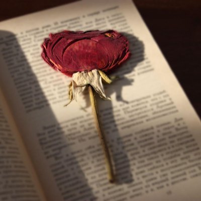 Kitap Gülüm
