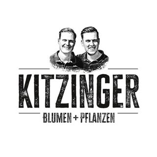 Kitzinger Blumen & Pflanzen