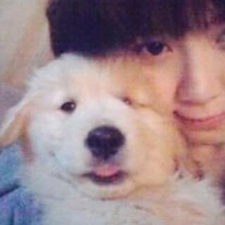 구혜선