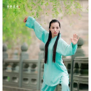Kung Fu World