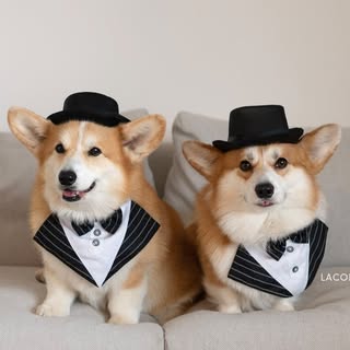 Geordi, Scotty & Lana