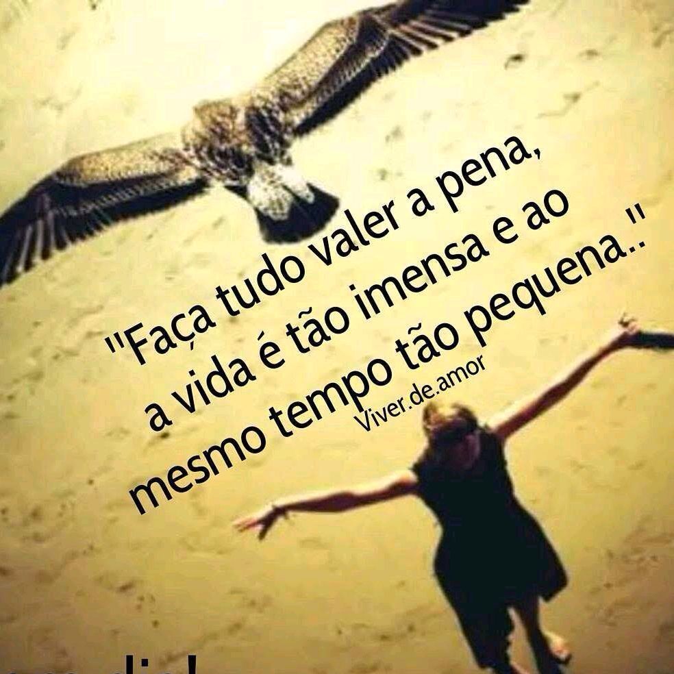 Evandro 1977