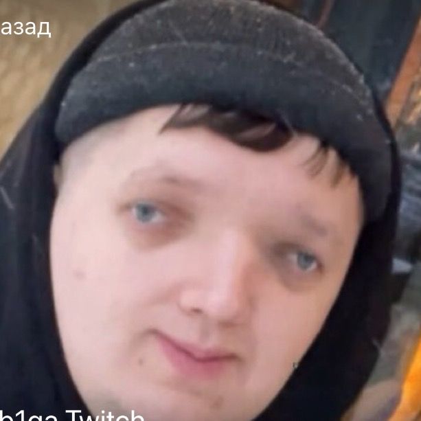 leb1ga_twitch