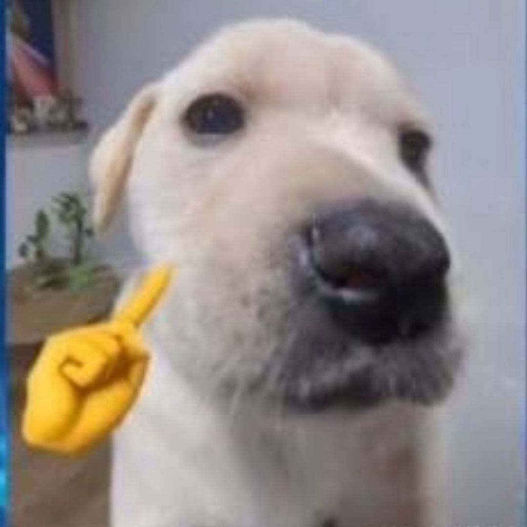Guz