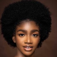 Les Histoires Africaines