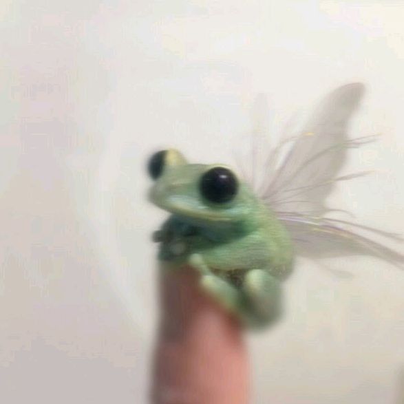 Квакаё♡