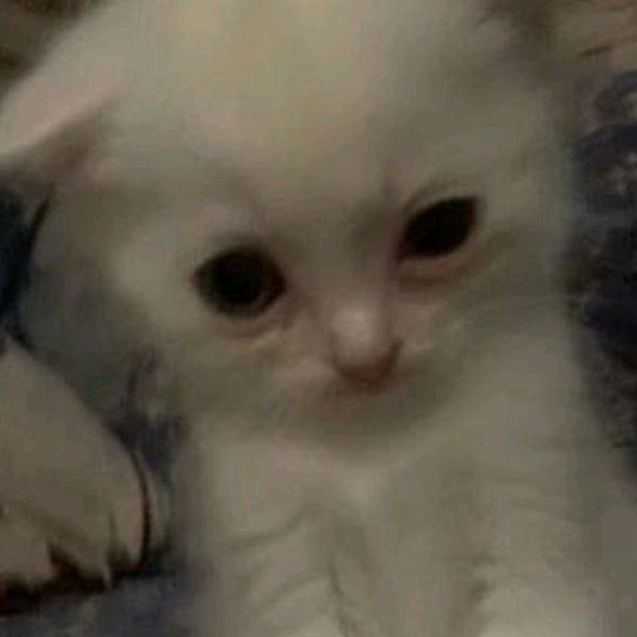 Lili