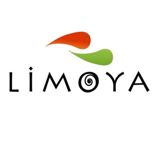 Ayakkabı Limoya Shoes