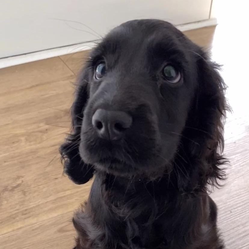 Fenton