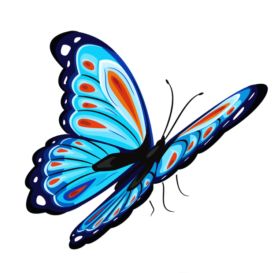 ♡ LITTLE_ANGEL  ♡