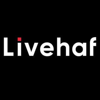 LIVEHAF | Your Daily Wear