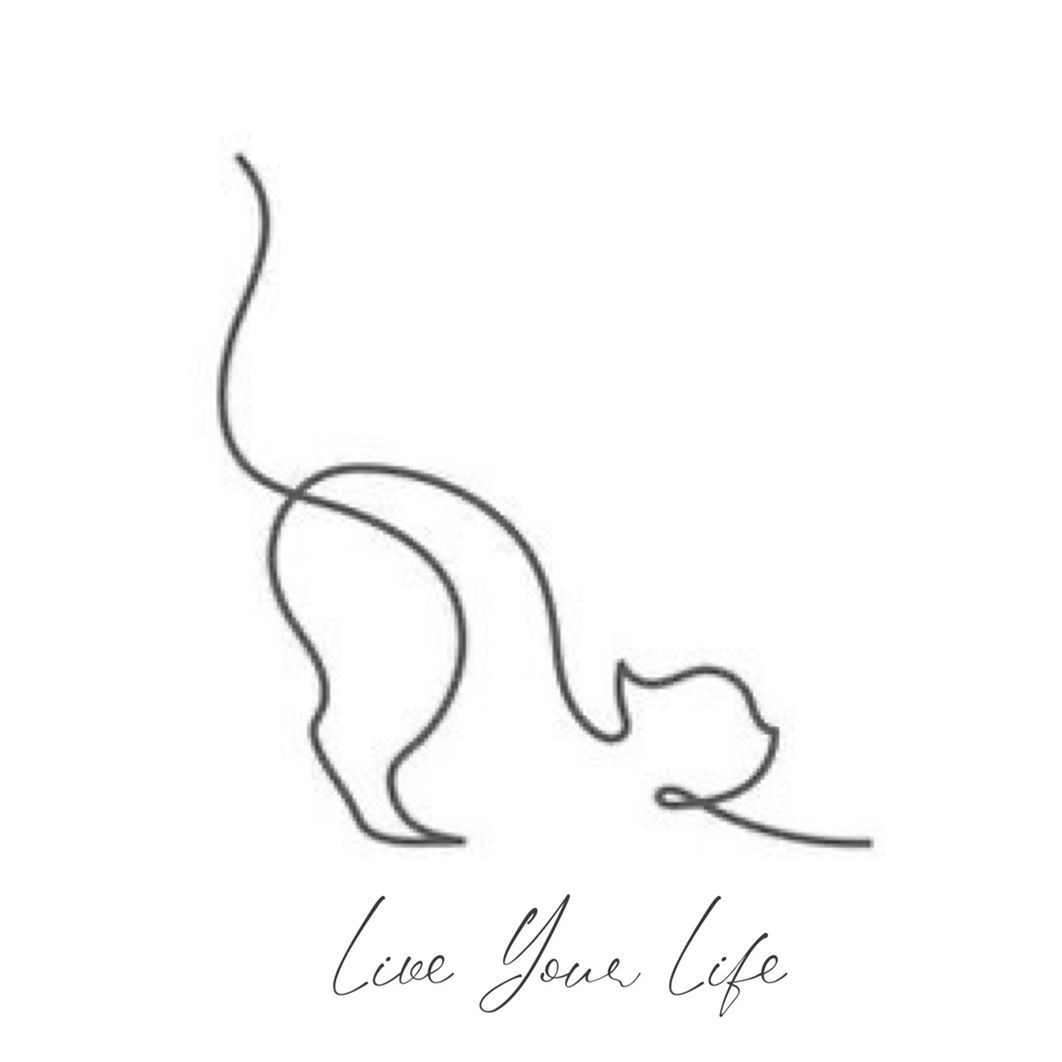 Live Your Life 🐈‍⬛🌙Coach