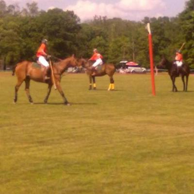 PAR | Lord Knight 🐎☁