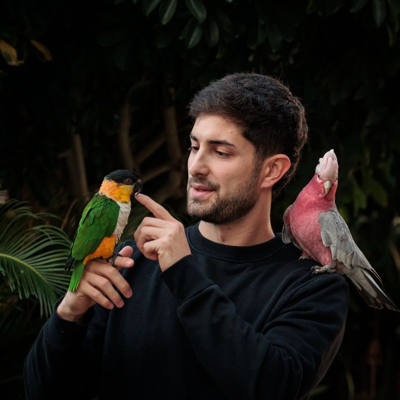 Lorossinbarreras🍀