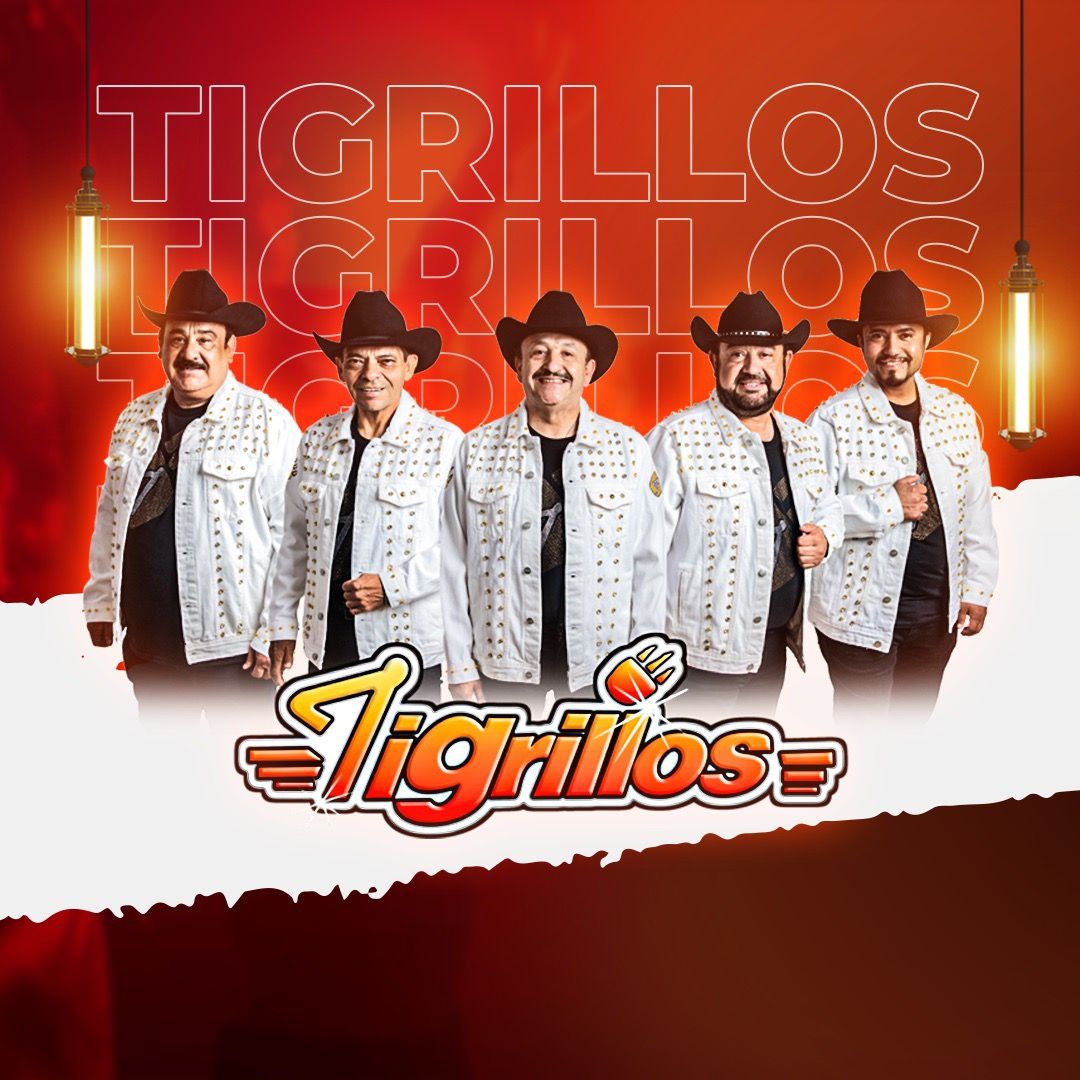Los tigrillos