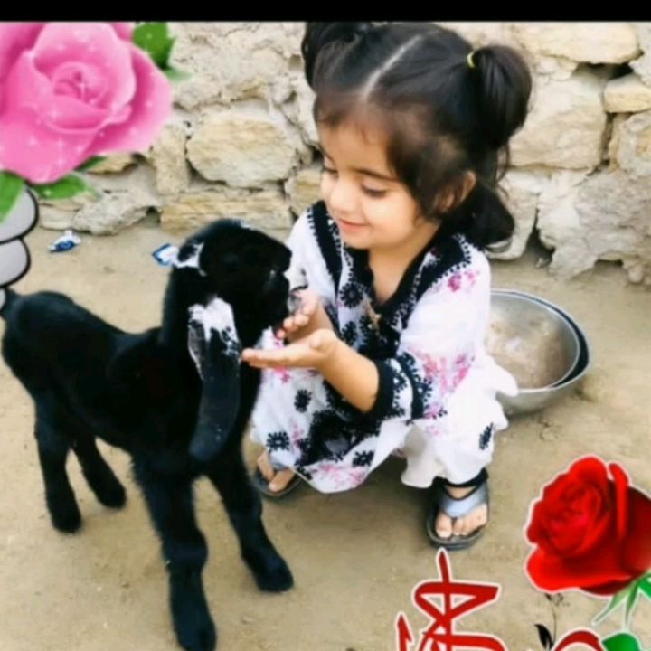 mahe Baloch 🌺